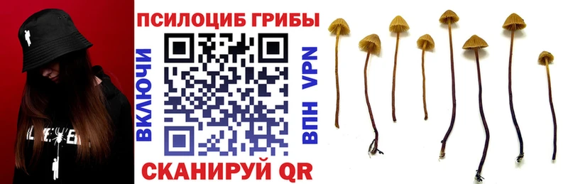 Галлюциногенные грибы прущие грибы  Черепаново 